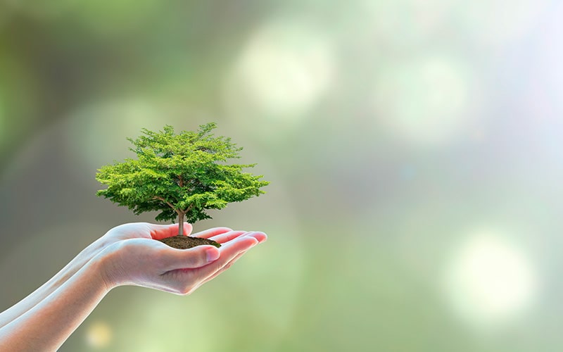 responsabilidad-foto-min